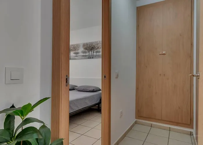 Terrace & Bbq Experience